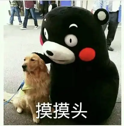 双十一大展身手,十二月没钱吃饭,小仙女居然这么做 双十一大展身手,十二月没钱吃饭,小仙女居然这么做