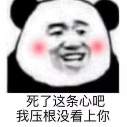  表情包死了这条心吧,我压根没看上你