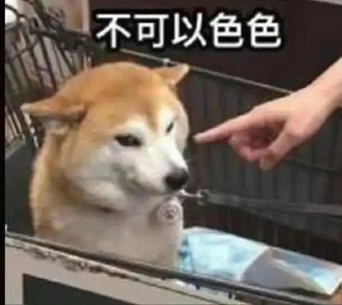 色色表情包 色色表情包