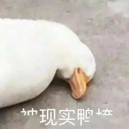 它没想让你过敏,它只是努力为爱鼓掌 它没想让你过敏,它只是努力为爱鼓掌