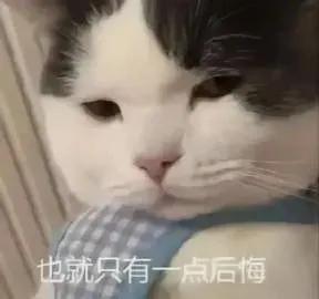  表情包为什么你说话别人不爱听