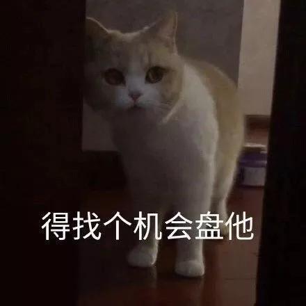 别气了的表情包铁头