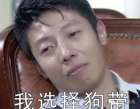  逗比里有深情机智里有浪漫做撒贝宁的老婆是一种怎样的体验