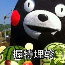 熊本熊英文单词表情包 熊本熊英文单词表情包