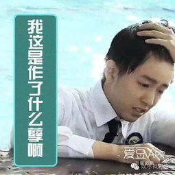  tfboys三宝最新表情包斗图再也不怕啦