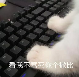  表情包丨真是前所未有的无聊