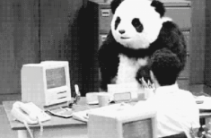  这只疯了的熊猫,做表情包真的太合适不过了