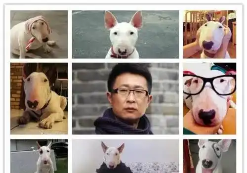 超模撞脸太搞笑,神似牛头梗撞脸韩星,还有人撞脸游戏人物 超模撞脸太搞笑,神似牛头梗撞脸韩星,还有人撞脸游戏人物