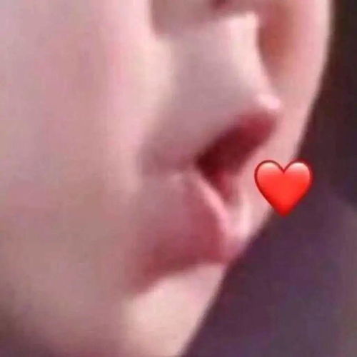  呓语520表白专用文案
