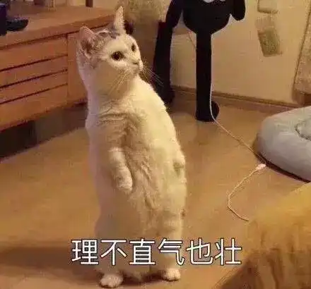  给你发来了一组喵咪表情包,快码