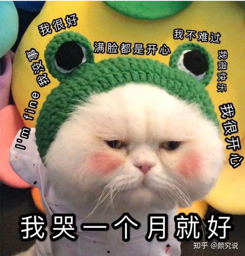  上海面部轮廓洪x范崔r达曹d弼等怎么样