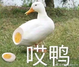 在干嘛表情包搞笑大雁