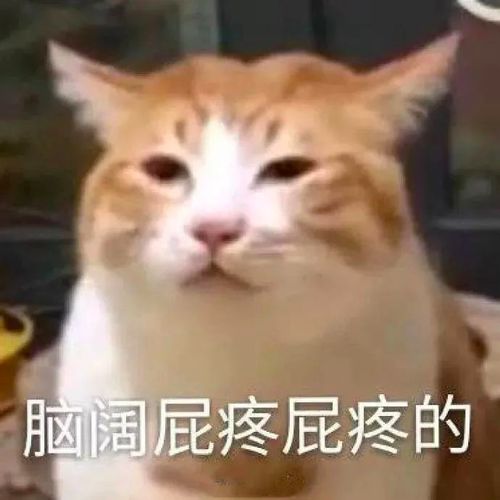  急这4类同学这次必须过四六级看看有你吗