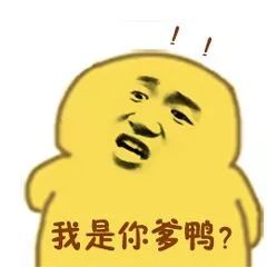  每日表情沙雕小黄鸭