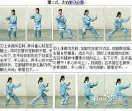  太极拳简化二十四式入门