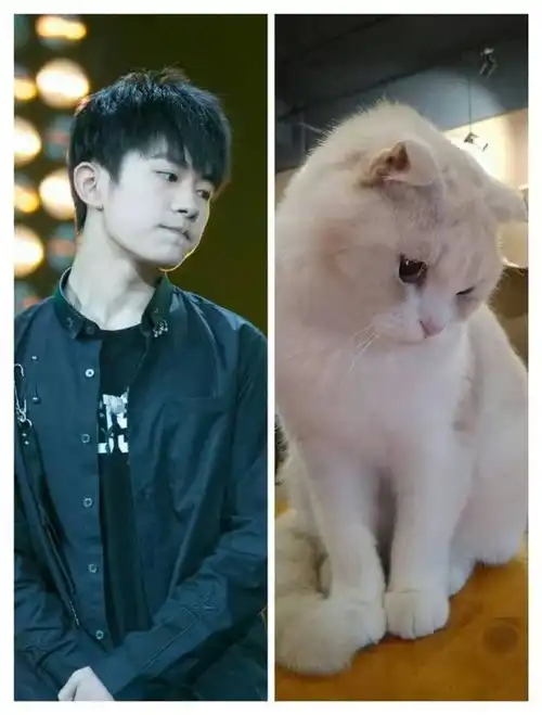 彭于晏扮丑也超帅,周杰马景涛被表情包玩坏 彭于晏扮丑也超帅,周杰马景涛被表情包玩坏