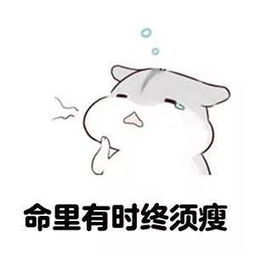  王子文解锁杂技级高难度姿势,女神原来都这么拼