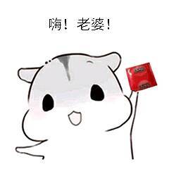  你们谁有小仓鼠的表情包,就是嗨,老婆的那个,急急急