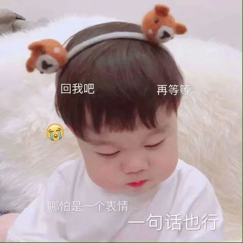  表情包我不管,就是你欺负人家
