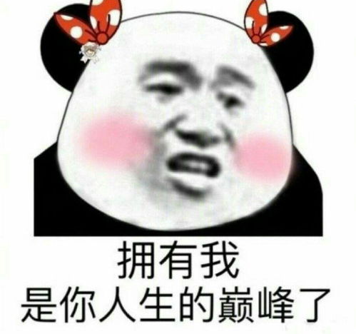 猥琐猫人脸表情包清晰不