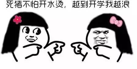  电脑手机低价狂欢,引爆9月开学季