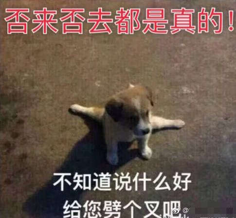 有个疑问,土丽粉是不是给洗地的事情除了粉圈都这...