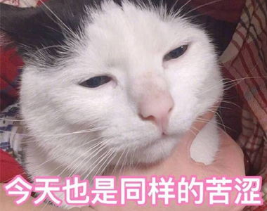  失眠表情包搞笑图片大全每天深夜总有一堆不睡觉的原因