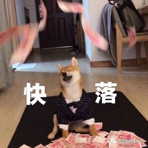  拿230w爱马仕画画,碾压半个中国的富婆,却栽到大16岁离异老男人手里