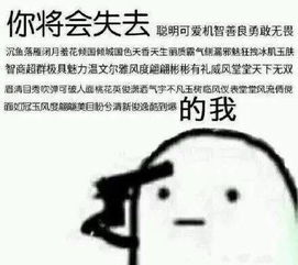  你将会失去可爱聪明机智善良无畏...的我聪明可爱善良机智无畏表情