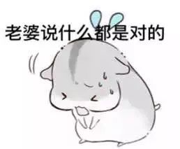 小仓鼠表情包一组干嘛