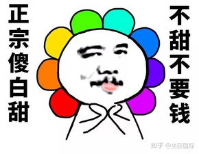  组队有大佬,成绩才能好留学生挣扎指南