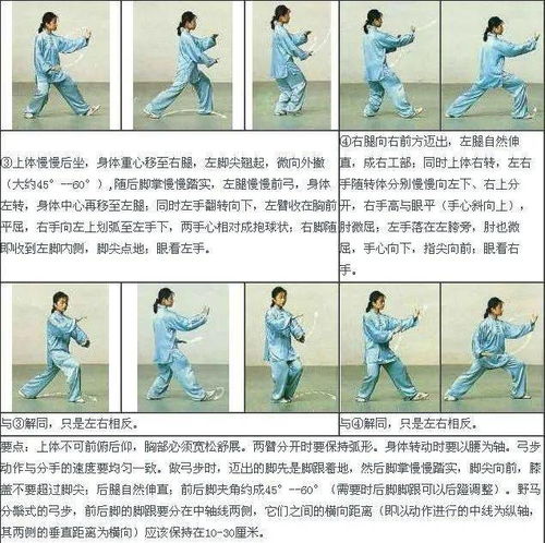  震惊一小时学会二十四式简化太极拳一