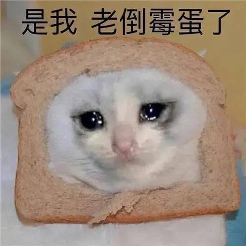  等我有钱了也这样走路