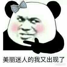  能分享一些有意思的熊猫头表情包吗