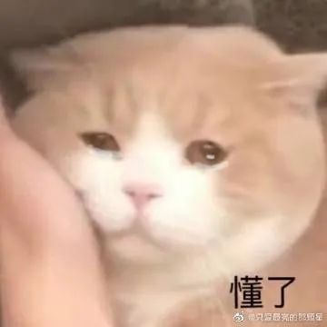  灵魂一问嫁得好主要是靠能力还是靠运气