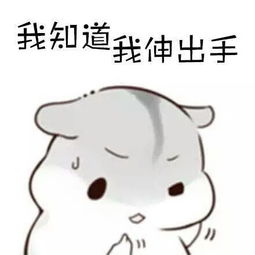 安慰奖表情包图片只是那
