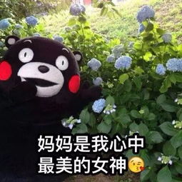  春节心情麻麻,你这样做让我很心塞