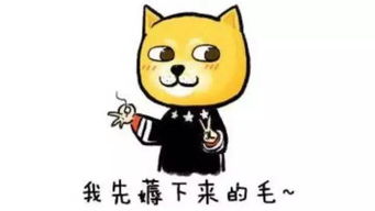夏温表情包智商税
