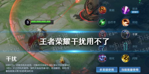  王者荣耀干扰用不了