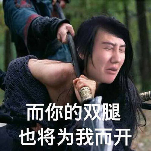  觉得他的表情包真的超级好笑哈哈哈哈哈