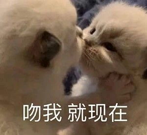  沙雕表情包我早晚拱了你这颗白菜