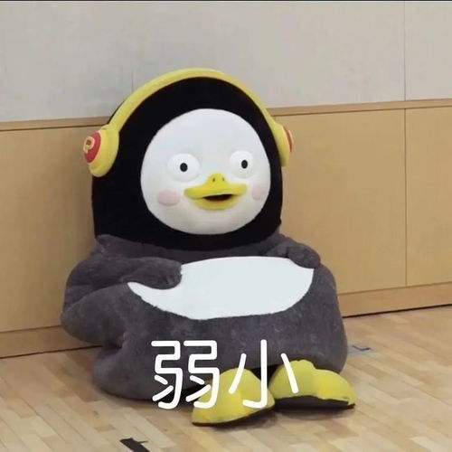  超级沙雕的表情包搞笑表情包图片大全年底了没钱了0907期