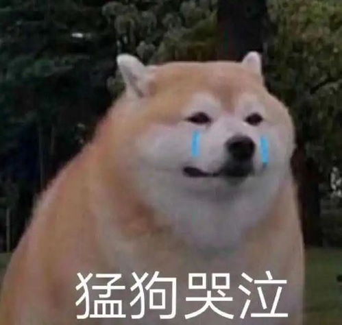  比特币一夜涨到55000美元,但是却有10万人爆仓了27亿