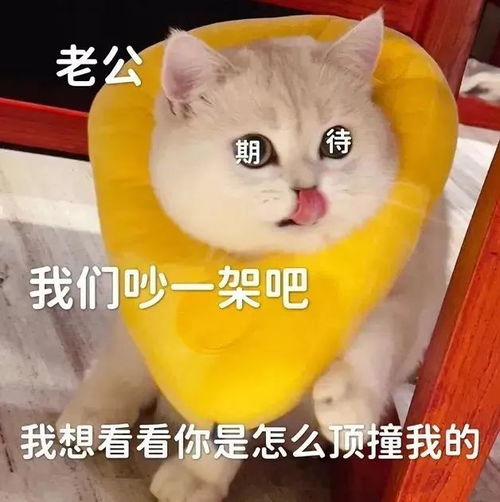  表情包没有钱,真的快乐不起来
