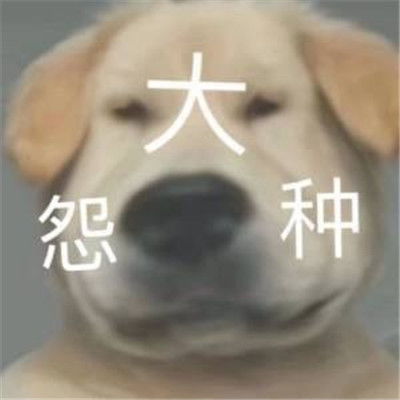  趣味又好笑的聊天表情包无水印心情写在脸上表情包