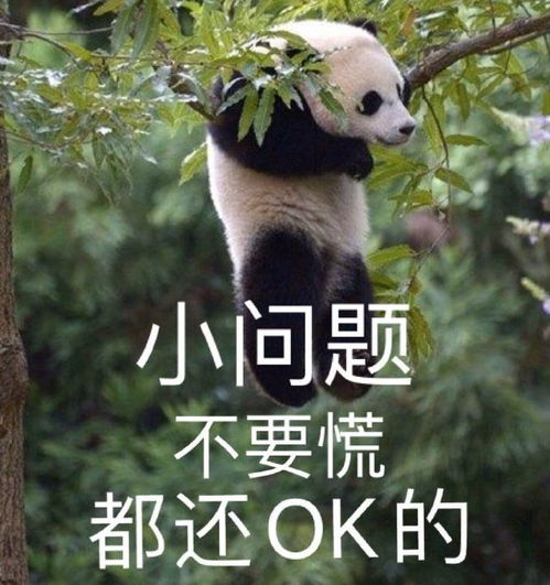 搞笑沙雕表情包美丽就是我的武器,等我喝口水再攻击你