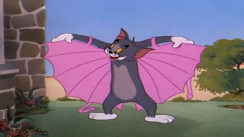 来一份瑟图表情包猫和老