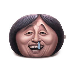  调皮的恶搞抱枕不要让思维限制