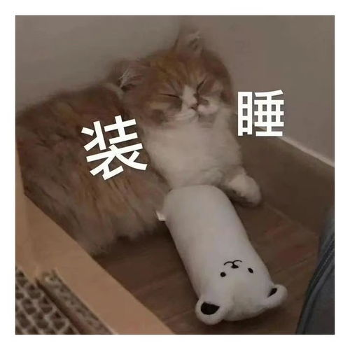  表情包一组有趣的表情包57期