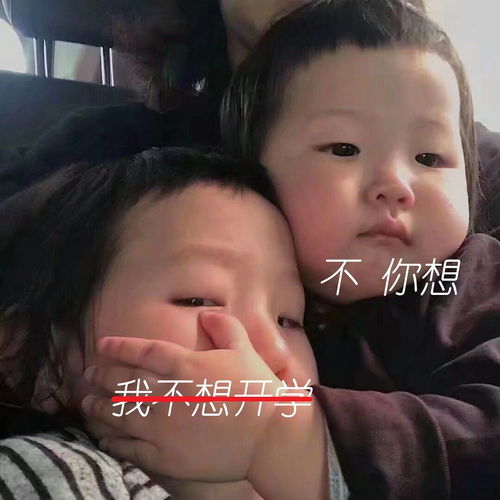  福利新学期校历新鲜出炉